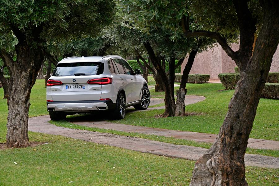  BMW X5 xDrive30d xLine (G05) 2018 года  (WW) (фото 27 из 33)